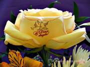 Наклейки на цветы, говорящие цветы, пленка для наклеек на цветы