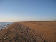 Продаю земельный участок с домом в отличном состоянии на побережье