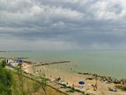 Куплю земельный участок до 10 га