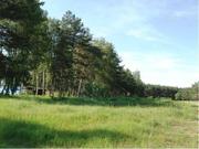 Продам участок под гостиницу