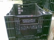 Ящик для овощей, курей, живой рыбы