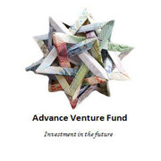 Advance Venture Fund, Доверительное управление активами инвесторов