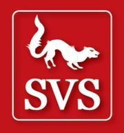 Бухгалтерские услуги Запорожье (отчеты в налоговую, пенсионный фонд)