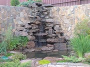 Реставрація газонів, внесення добрив та засобів хімічного захисту