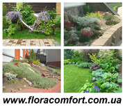 Устройство посевного газона Киев, рулонный и посевной газон