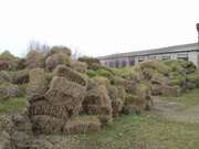 Отдам даром солому пшеничную