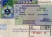 Оформление и выдача приглашений, визы. прописка в Киеве