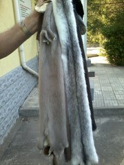 Продаём мех натуральный из первых рук. Недорого.