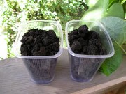 Ликвидация очагов почвенной ветровой эрозии