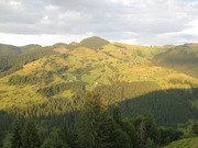 Земельна ділянка в Карпатах під забудову, Верховинський район