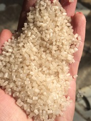 Предлагаю гранулу полипропилена, неокрашенную(натуральную)