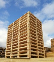 Паллеты новые. Европоддоны новые. Покупка, продажа.