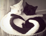 Магия Одесса Помощь, предсказание, сниму порчу